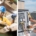 Electrical workers in safety gear in industrial and commercial spaces.