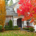 Two-story gray shingled house with large windows, surrounded by green grass, bushes, and trees with vibrant fall foliage.