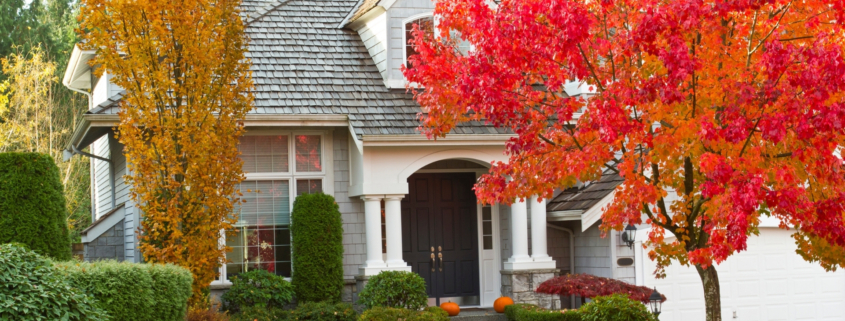 Two-story gray shingled house with large windows, surrounded by green grass, bushes, and trees with vibrant fall foliage.